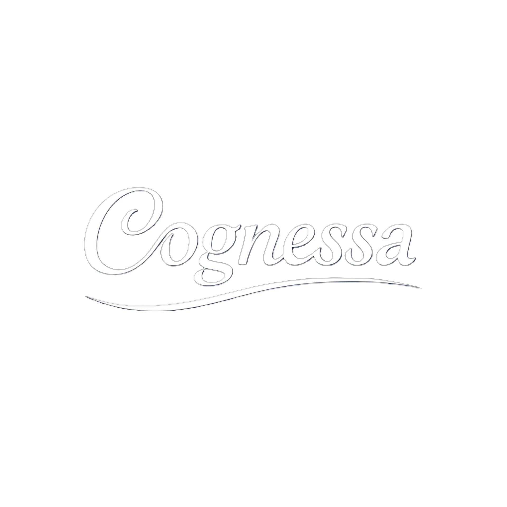 Cognessa Workspace
